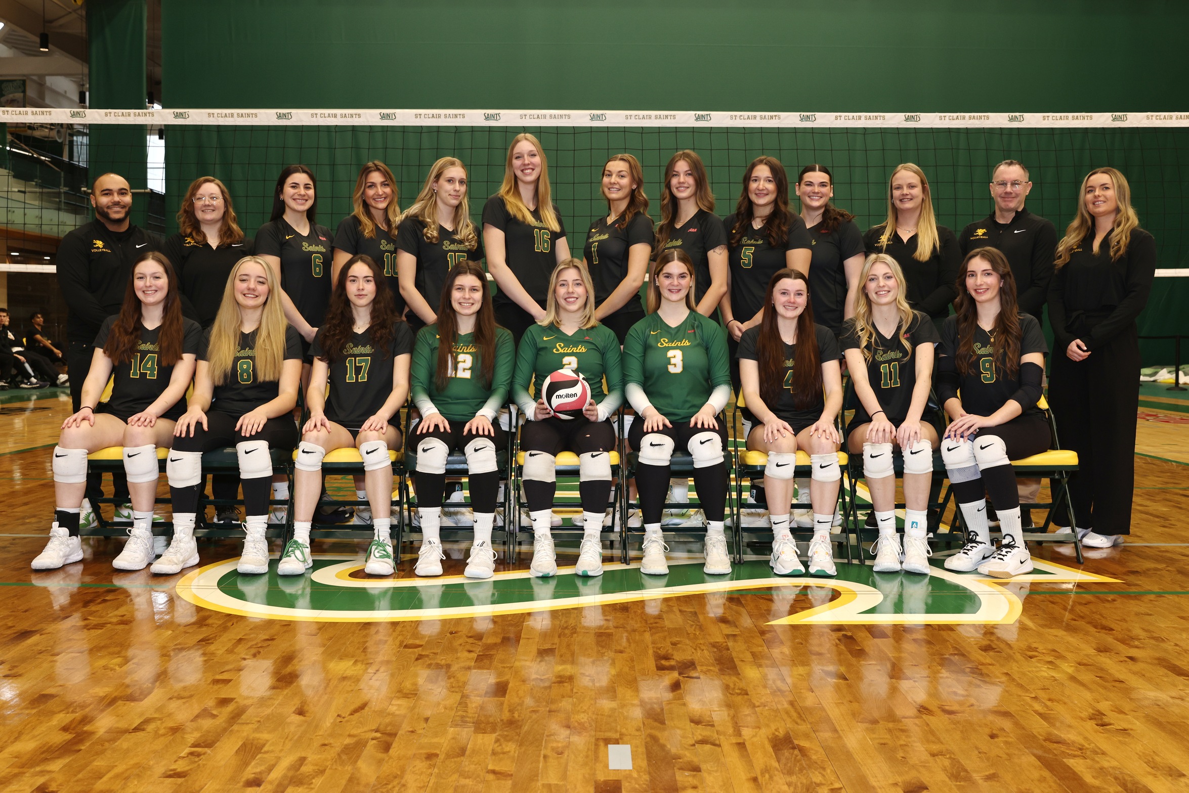 Women's Volleyball Playoff at Home Saturday Night