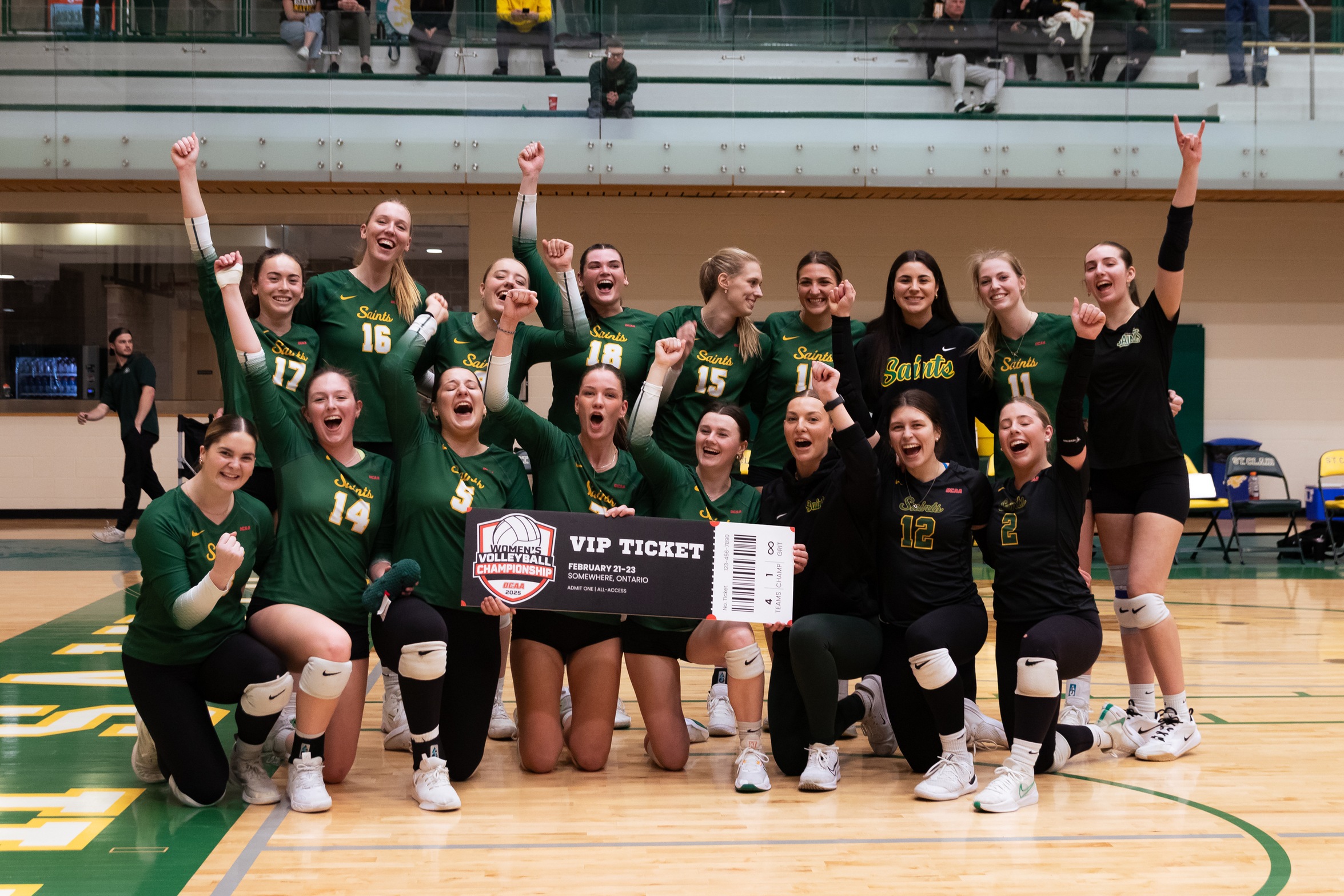 Women's Volleyball Punch Ticket to Championship