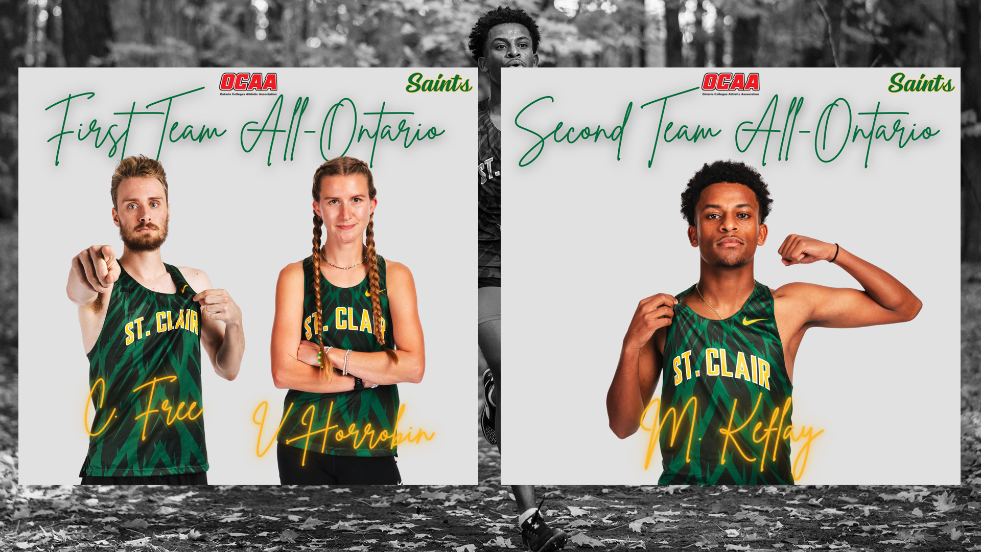 St. Clair Cross-Country Run to OCAA All-Ontario Honours